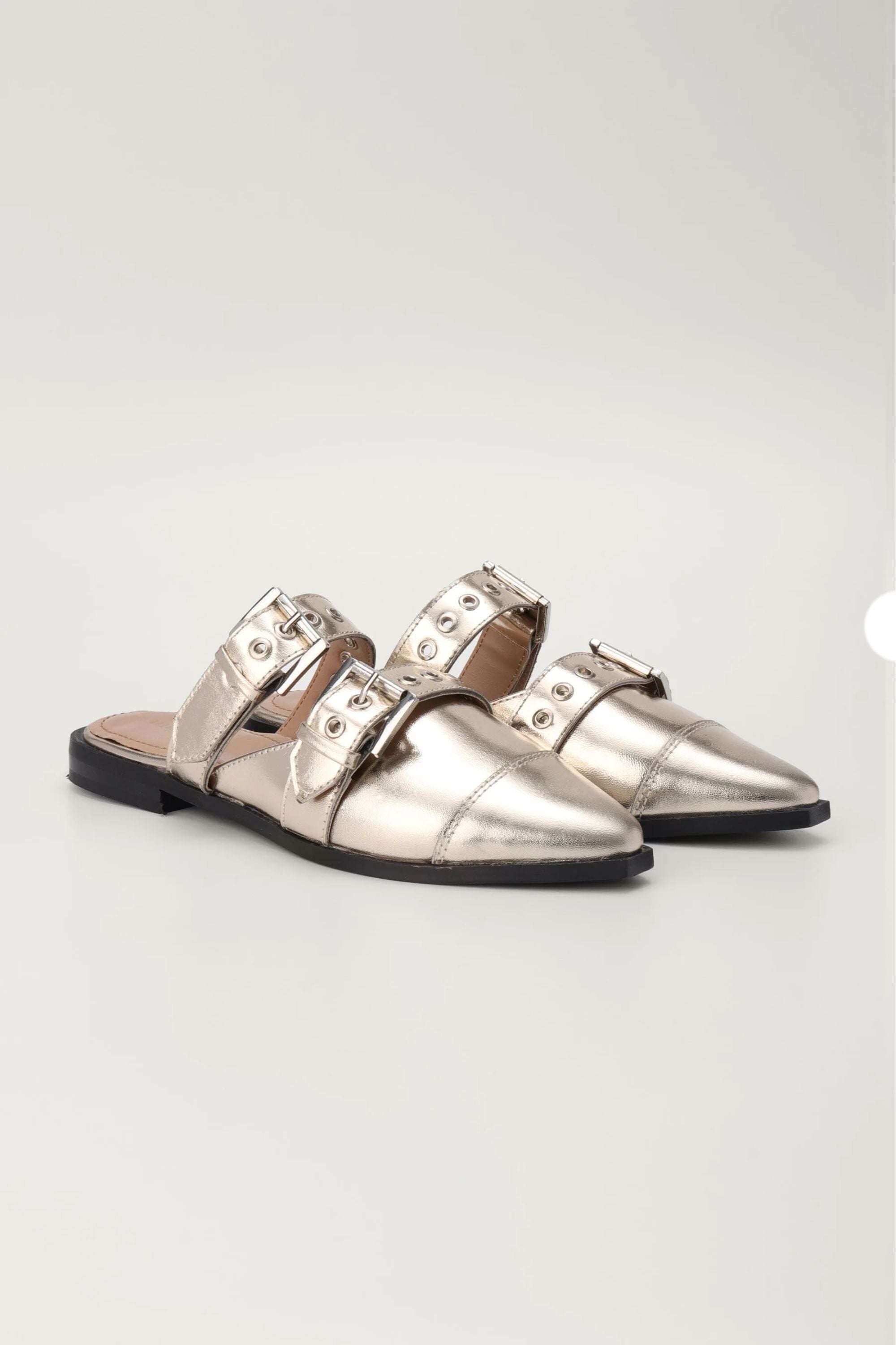 Mules in Champagne