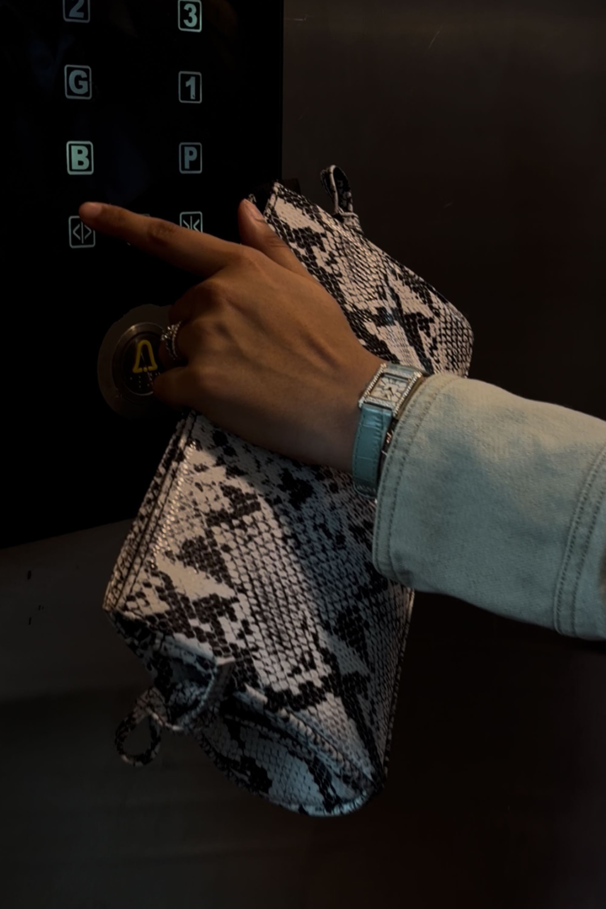 Trapeze Clutch in Python