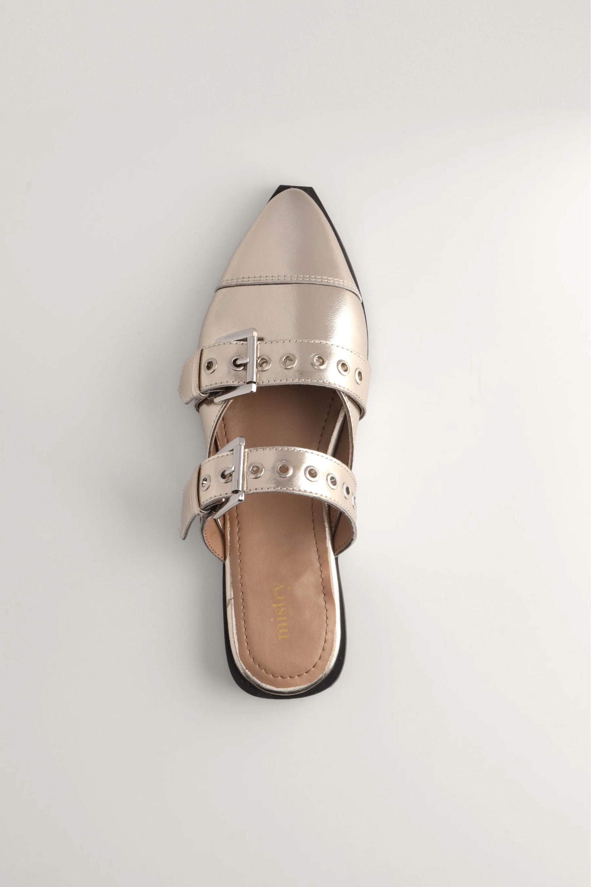 Mules in Champagne