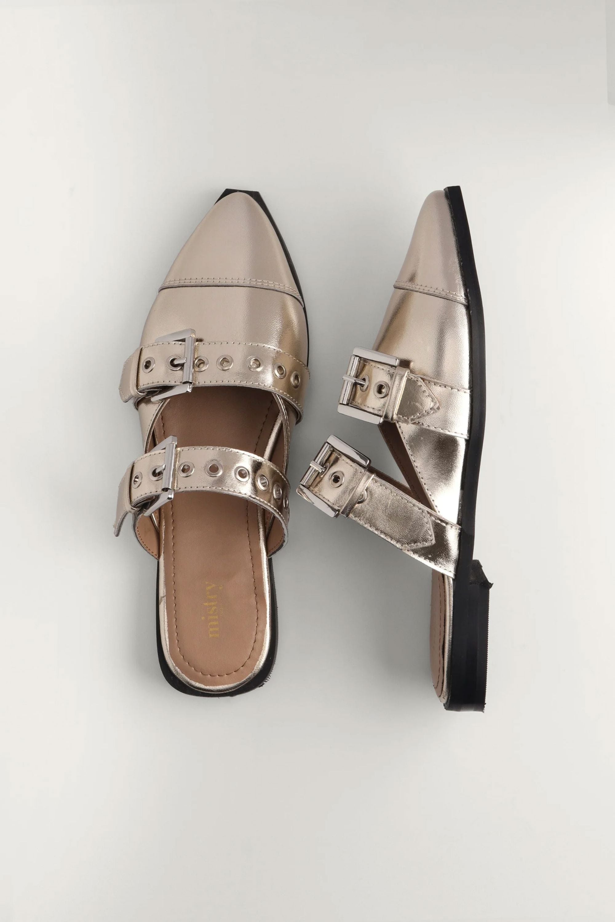 Mules in Champagne