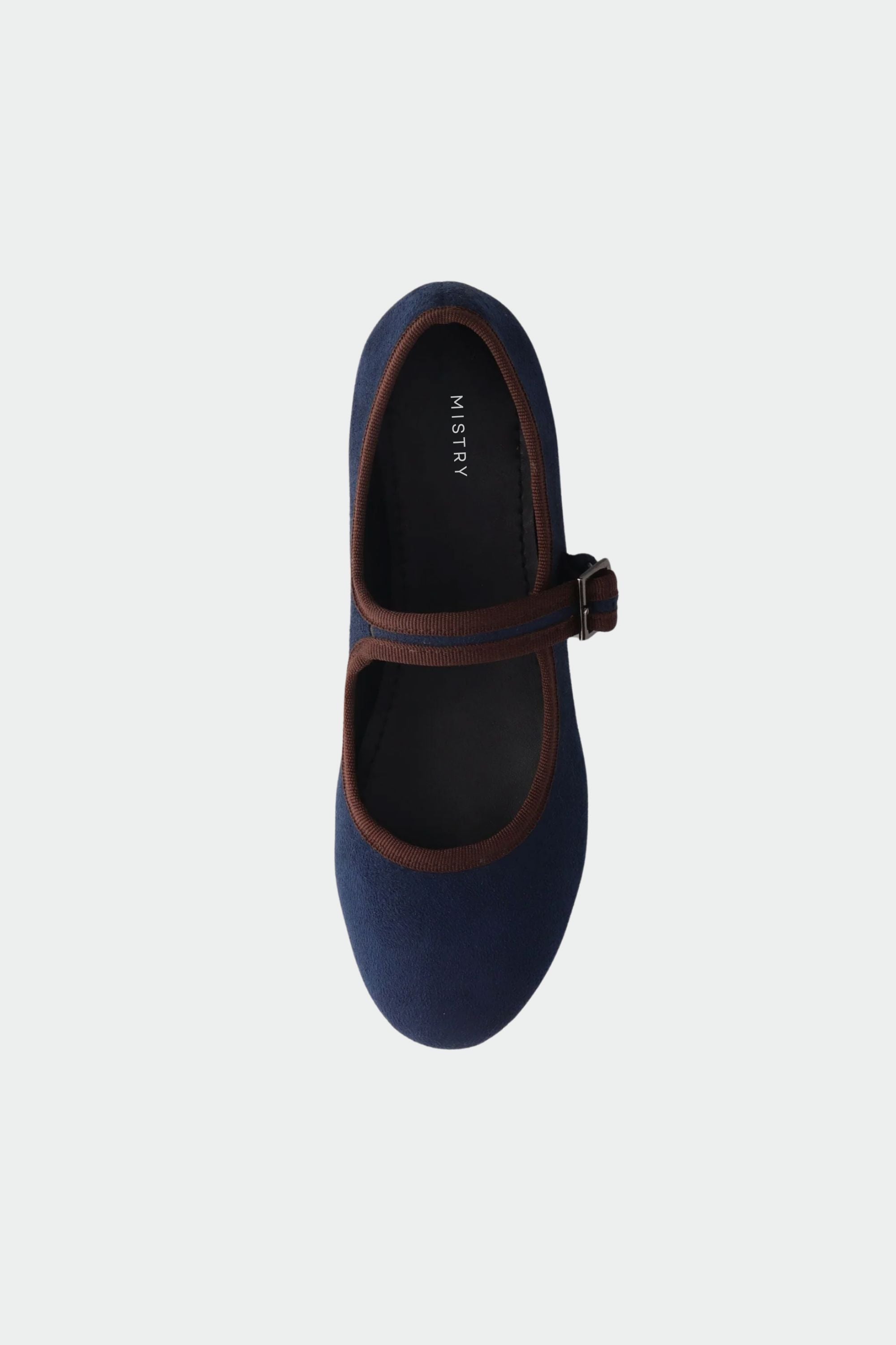Suede Ballerinas in Navy Blue